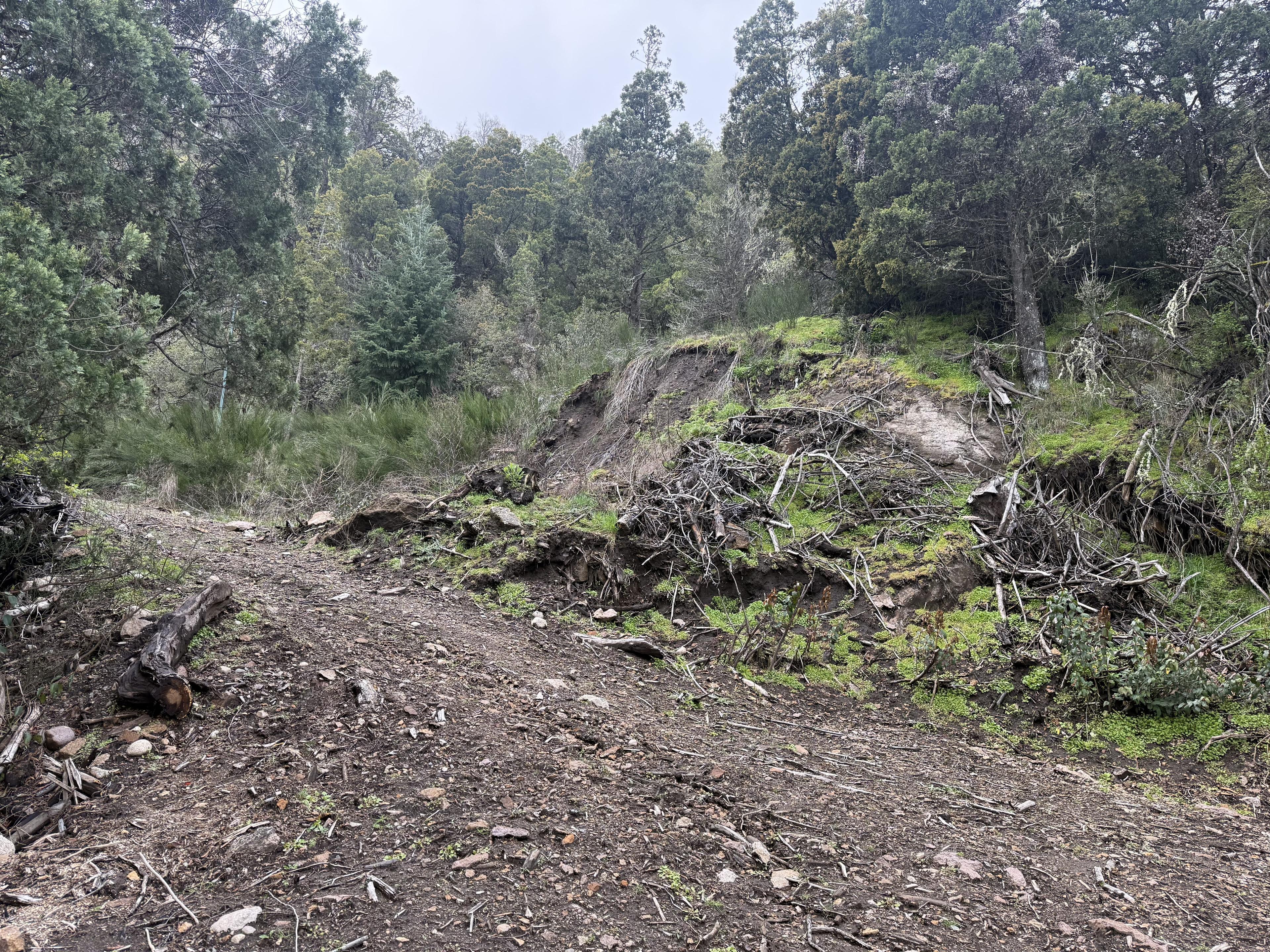 VENTA TERRENO SAN MARTIN DE LOS ANDES. ALIHUEN ALTO NUEVA ETAPA — foto 1
