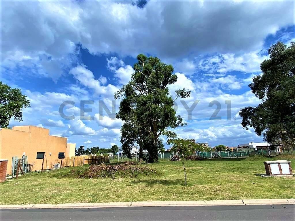 Lote Perimetral en venta en Pilar del Este Barrio San Ramón con arboleda — foto 1
