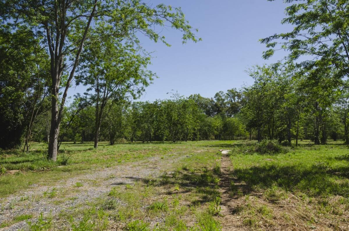 Lote en venta — foto 1