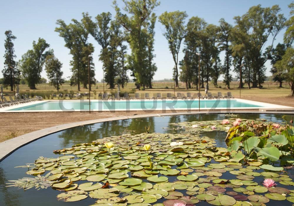 VENTA Lote 226 con salida a laguna | Barrio Isla, Tres Pinos, General Rodríguez – ACEPTA PERMUTA — foto 1