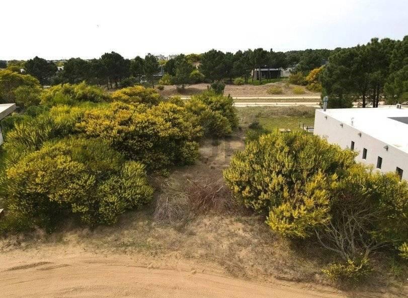 Lote en altura en Barrio Ecuestre — foto 1
