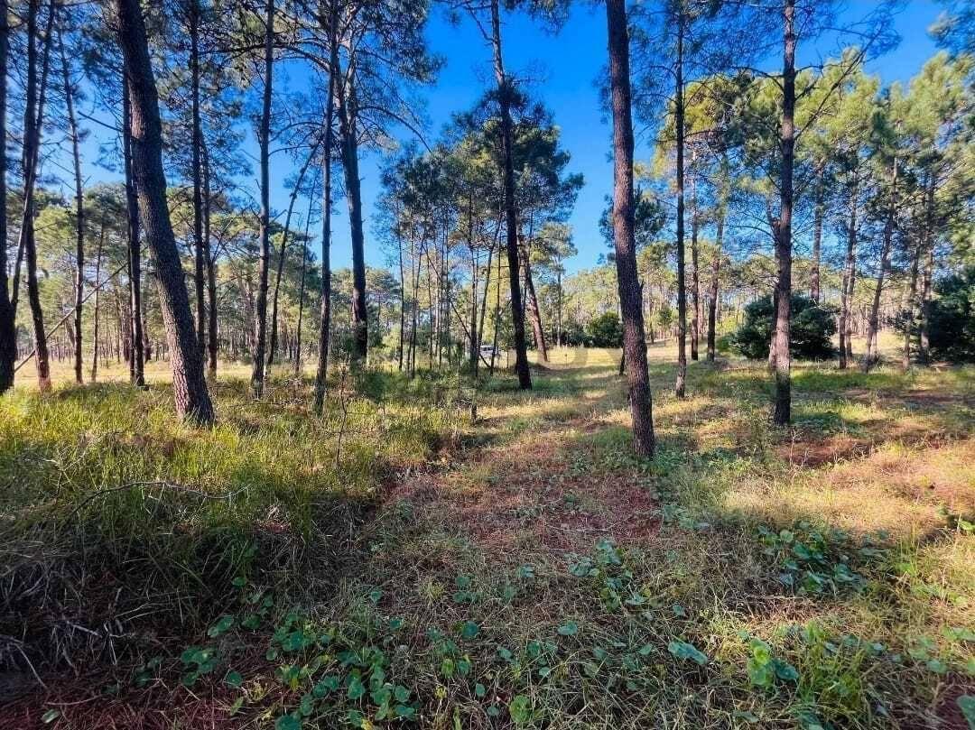 Terreno en Bosques, Pinamar — foto 1