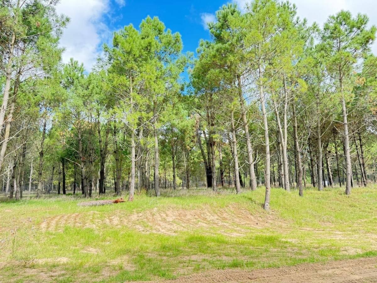 Terreno en Pinamar — foto 1