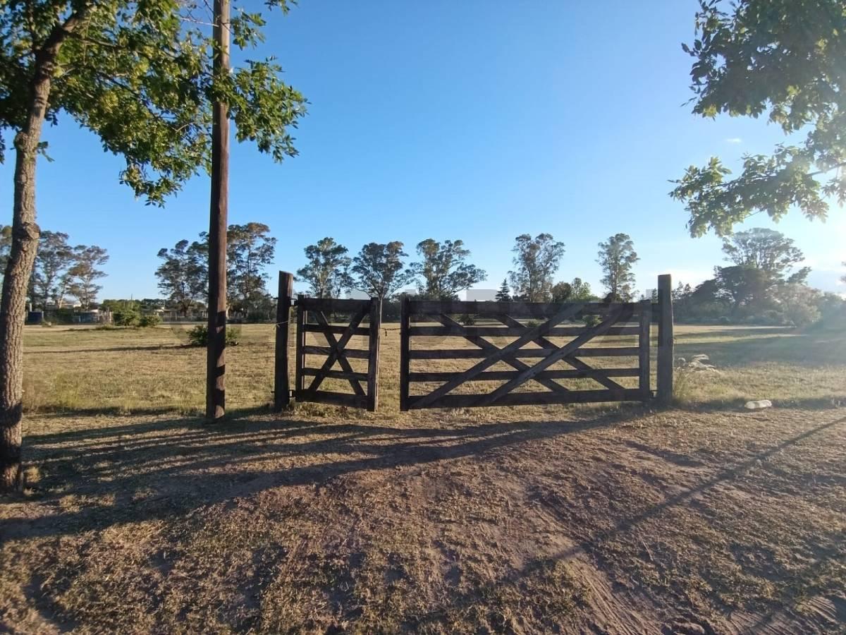 VENTA LOTE 1 HECTAREA CAMPOS DEL VIRREY. El mas grande disponible en el barrio! — foto 1