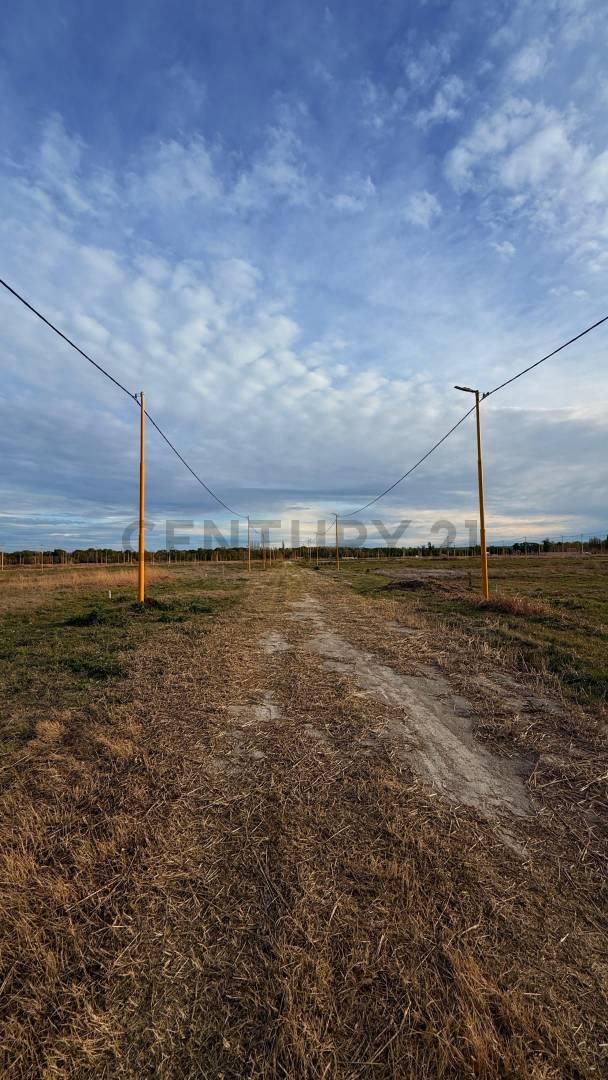 Terreno en venta LA RUFINA Cervantes — foto 1