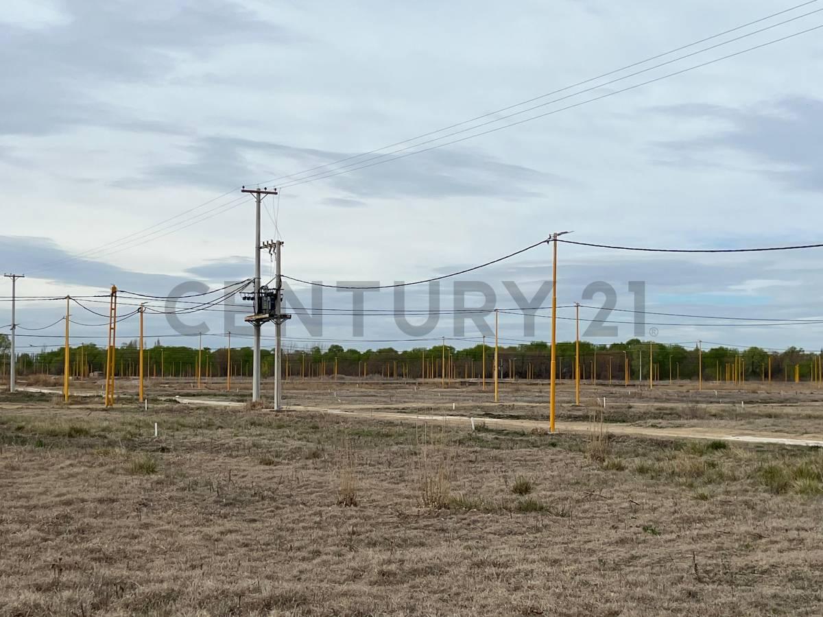 Terreno en Rufina- Cervantes — foto 1