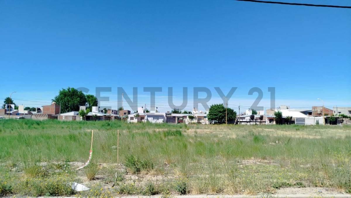 Equipo CENTURY 21 MUNOZ Vende Lote en ''Loteo JOSE FABRO" — foto 1