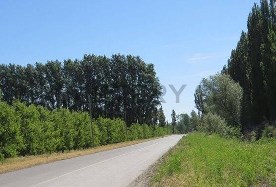 Terreno en la Rufina I Cervantes — foto 1