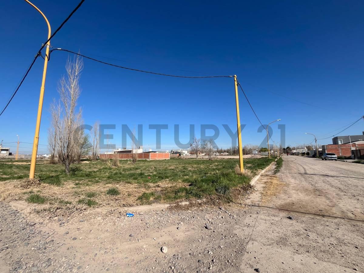 Terreno en Villa Regina- Esquina — foto 1