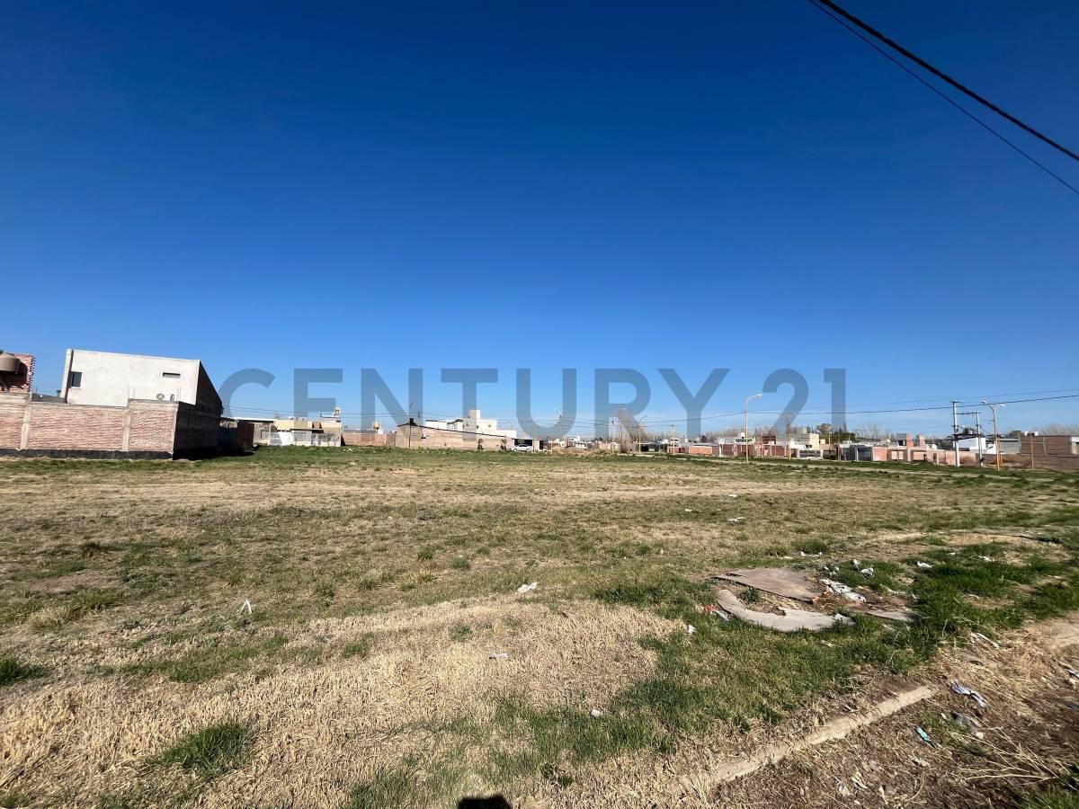 Terreno en Villa Regina — foto 1