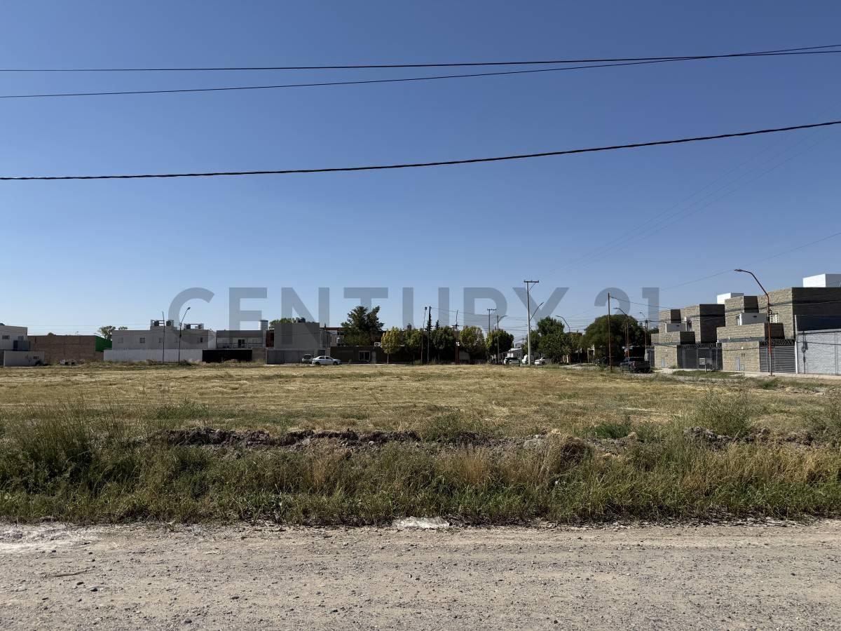 Terreno 3146m2 apto desarrollo en General Roca — foto 1