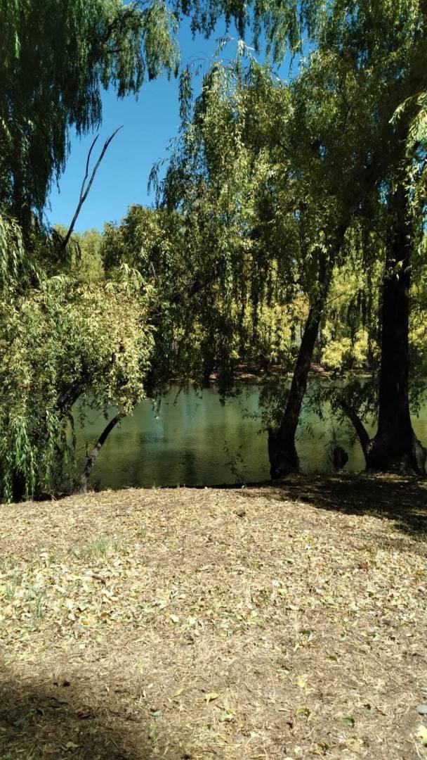Terreno en RUFINA Etapa I Cervantes — foto 1