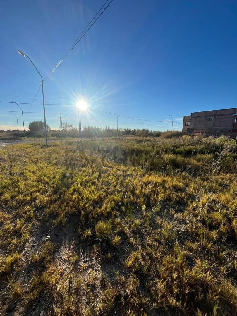 Terreno en General Roca — foto 1