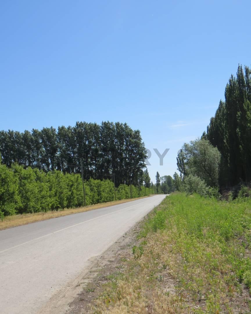 TERRENO EN VENTA | LA RUFINA I - CERVANTES — foto 1
