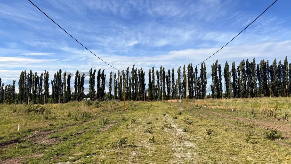 En venta LOTES CONTIGUOS en Loteo en desarrollo LA RUFINA I — foto 1