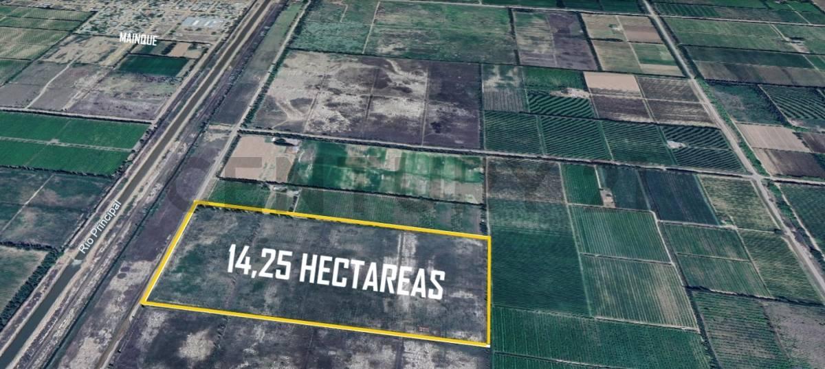 Venta de Hectareas en blanco Mainque — foto 1