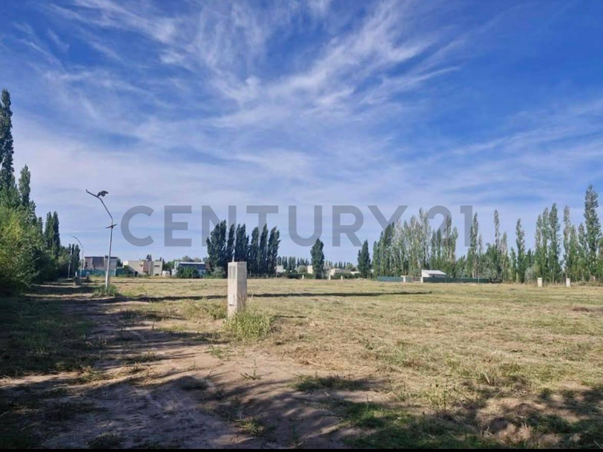 Terreno en venta General roca — foto 1
