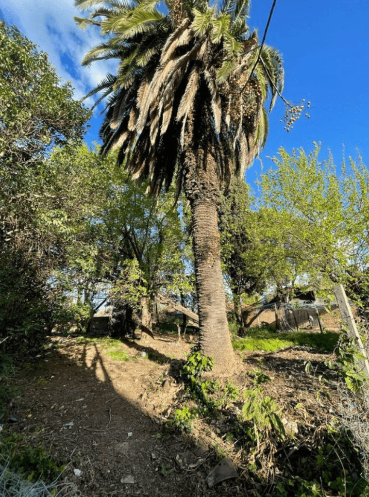 TERRENO EN VENTA EN EXCELENTE UBICACION GUERNICA CENTRO — foto 1
