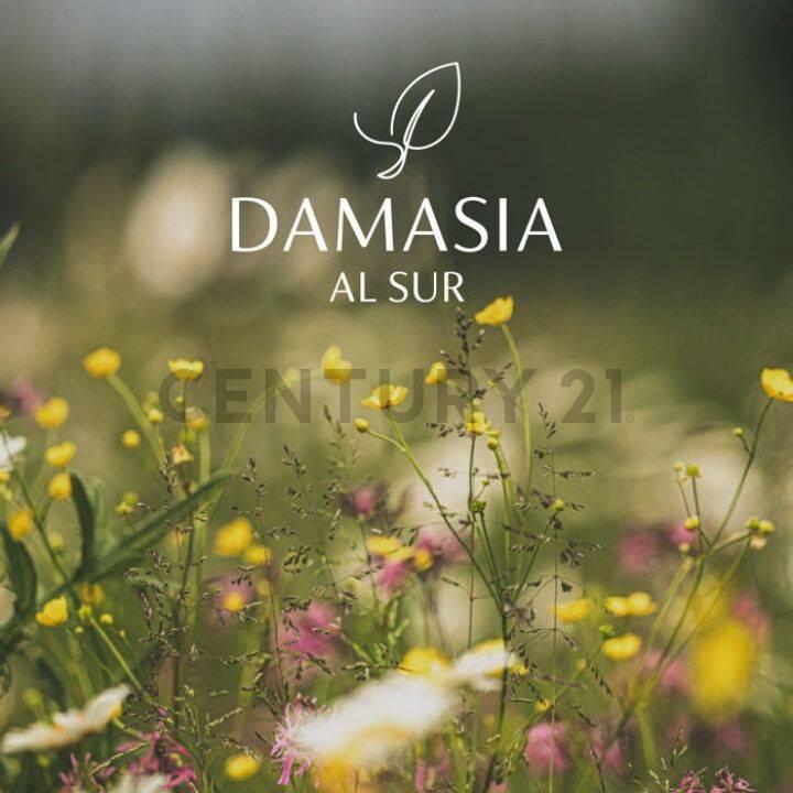 LOTE EN VENTA EN DAMASIA AL SUR E1 — foto 1