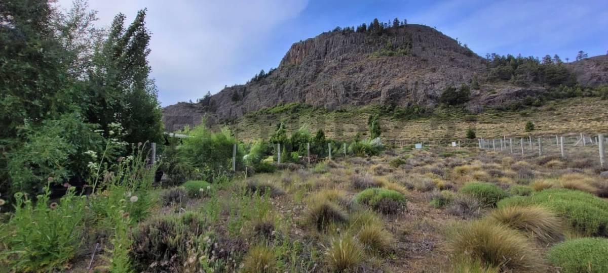 Terreno en venta Ñirihuau, Cerro Leones — foto 1