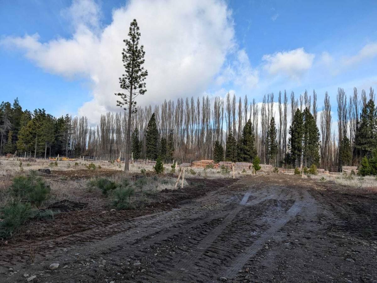 Lote en venta Dina Huapi — foto 1