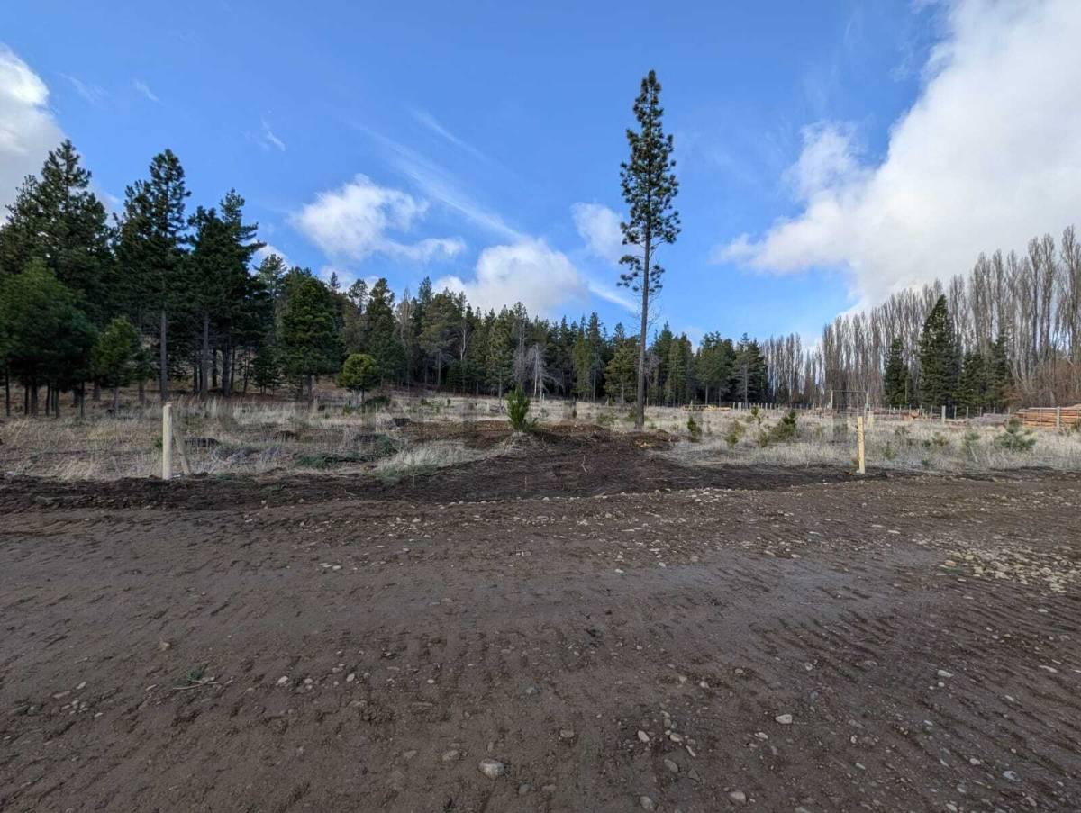 Lote en venta Dina Huapi — foto 1
