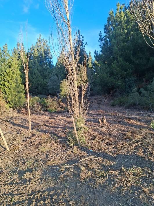 Lote en venta Bariloche Abedules — foto 1