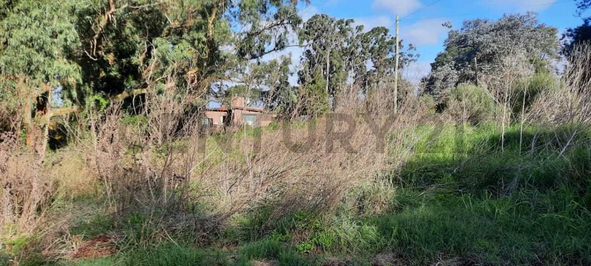 TERRENO EN VENTA - SIERRA DE LOS PADRES - 645 m² — foto 1