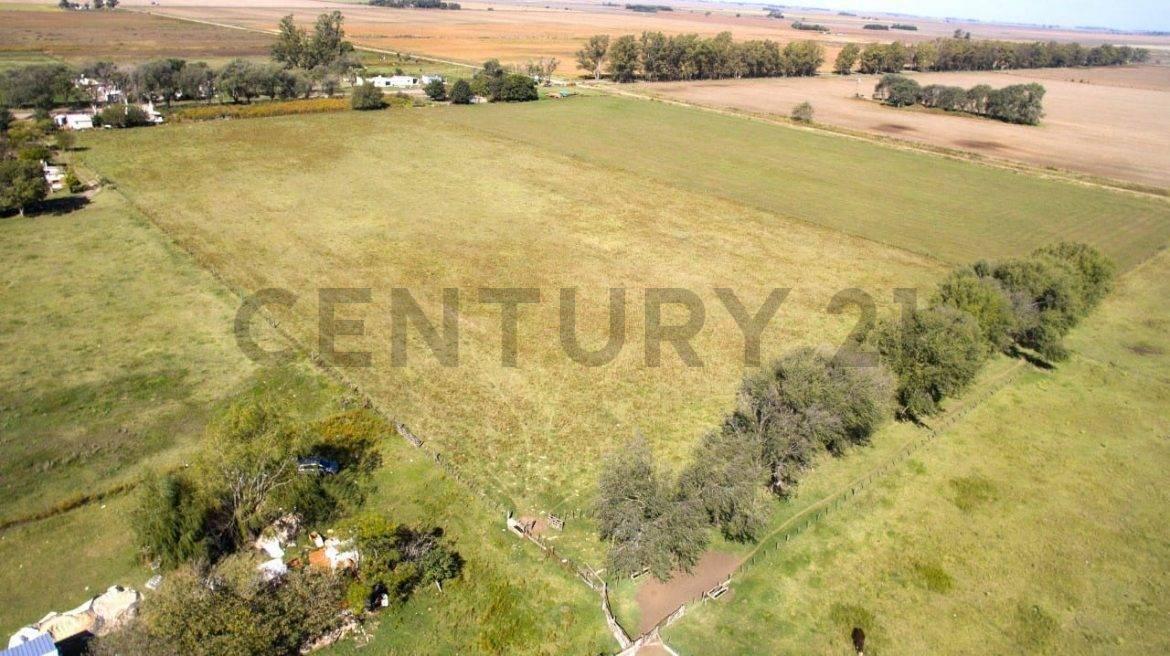 11 HECTÁREAS DE CAMPO PRODUCTIVAS EN COLINAS VERDES ID 28640 — foto 1