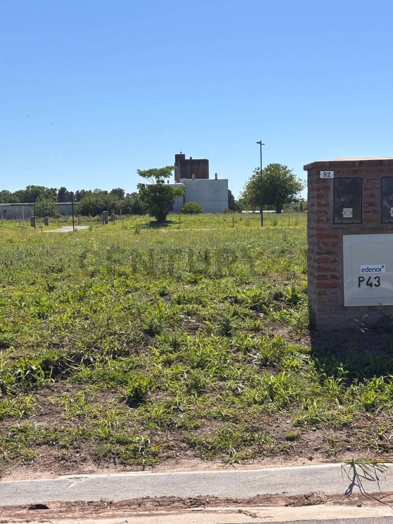 LOTE INTERNO VENTA ,LA POSTA, PILAR — foto 1