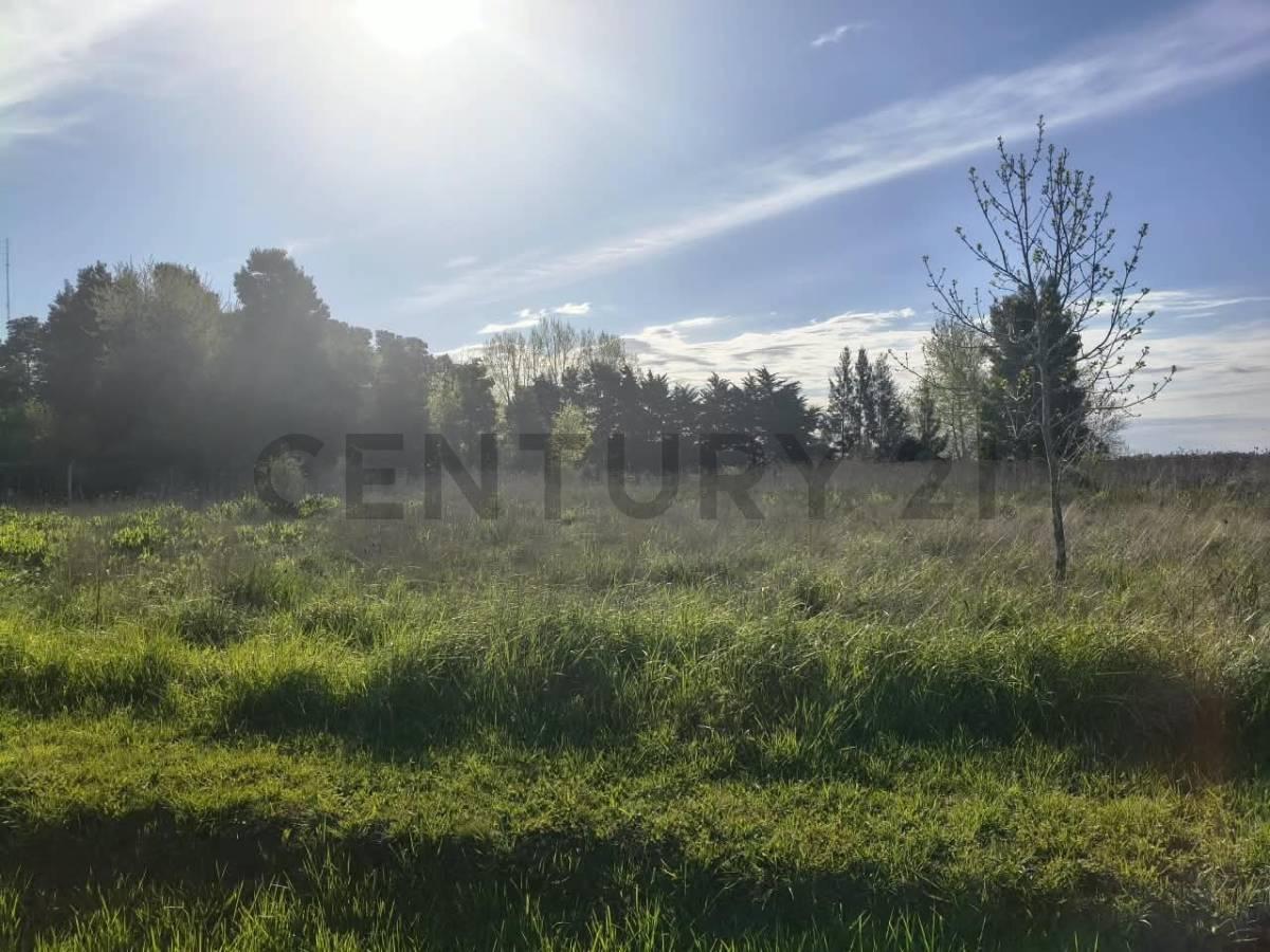LOTE EN VENTA SAMBOROMBON BRANDSEN — foto 1