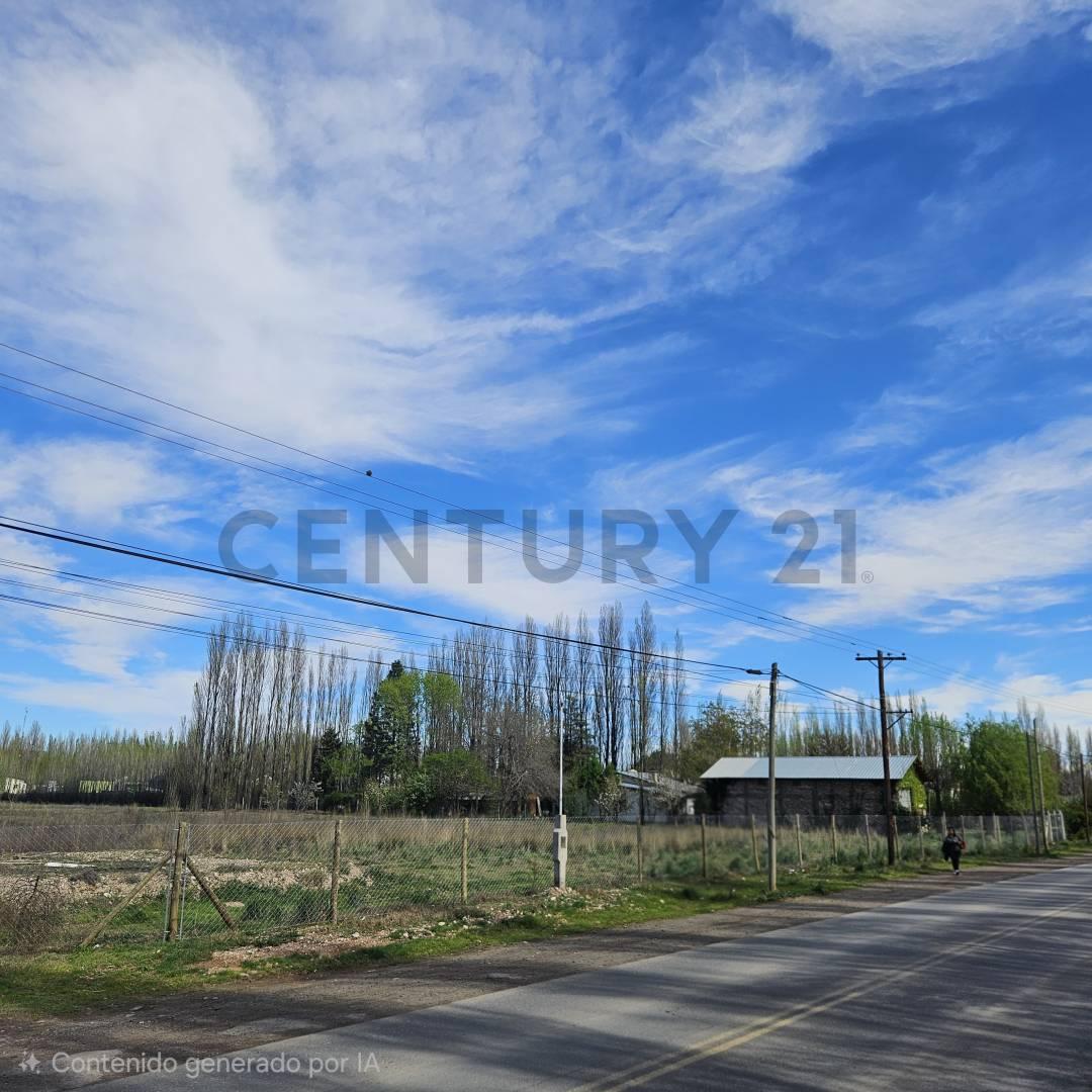 VENTA CHACRA 3.14 HECTÁREAS – PLOTTIER ZONA URBANA — foto 1