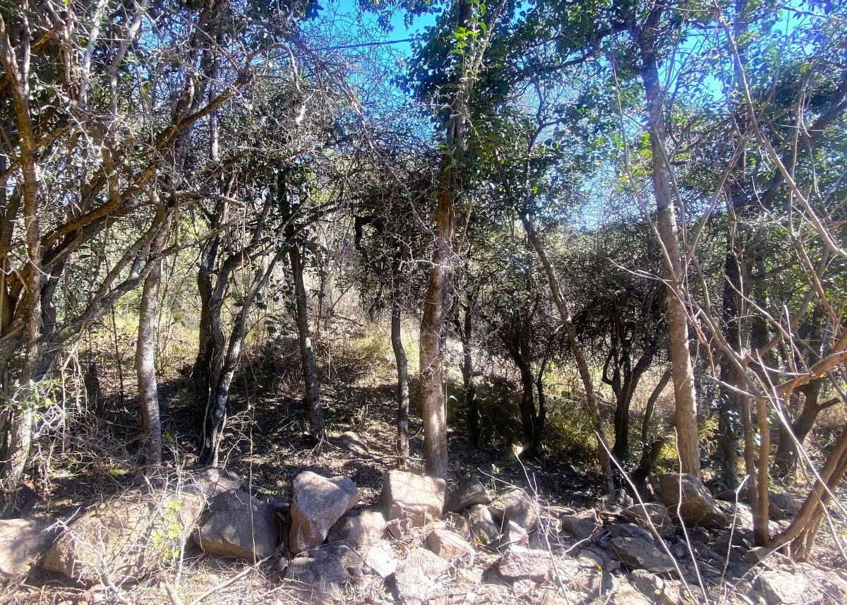 TERRENO EN VENTA EN LA GRANJA – 1.485m2 – ESCRITURA — foto 1