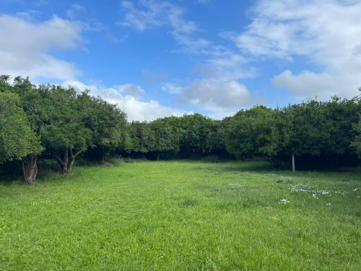 Lote en Venta Chacra el Rosario en Pinamar Posibilidad de Permuta o Financiación — foto 1
