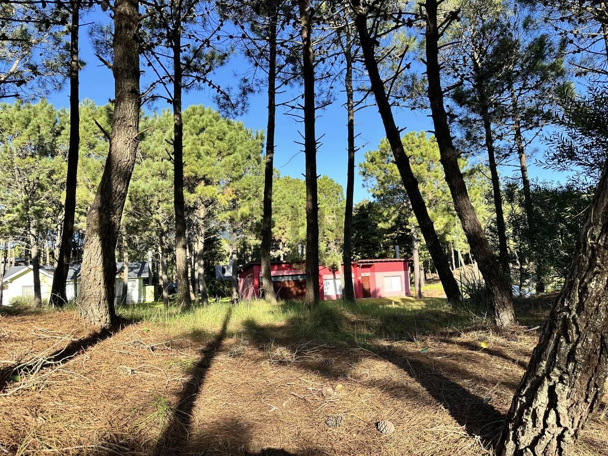 Venta Lote en Pinamar Norte - Costa Atlantica — foto 1