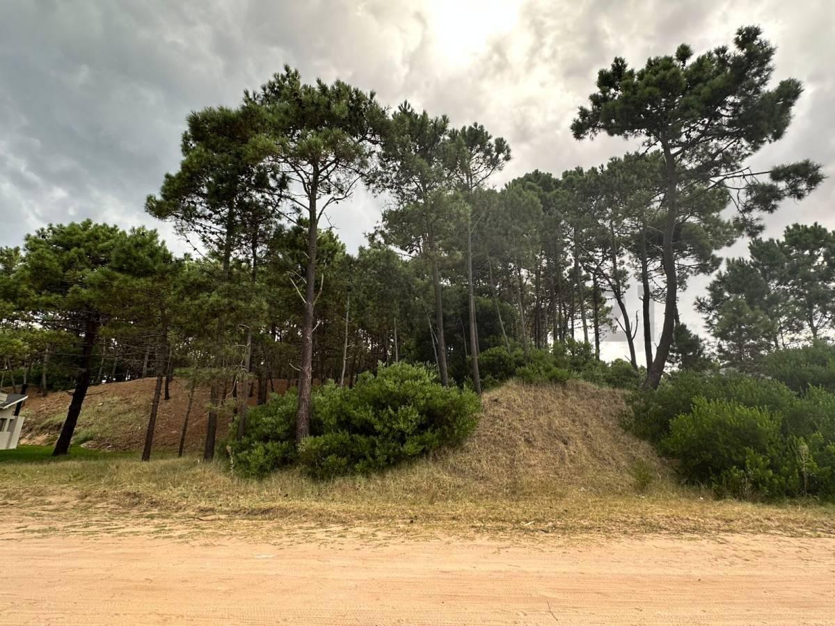 Venta lote Álamos Pinamar — foto 1