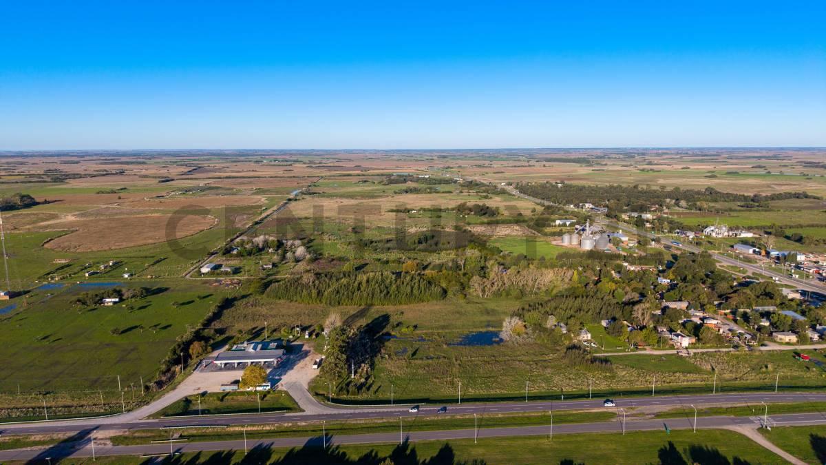 VENTA DE 4,2 HRAS EN GENERAL MADARIAGA — foto 1