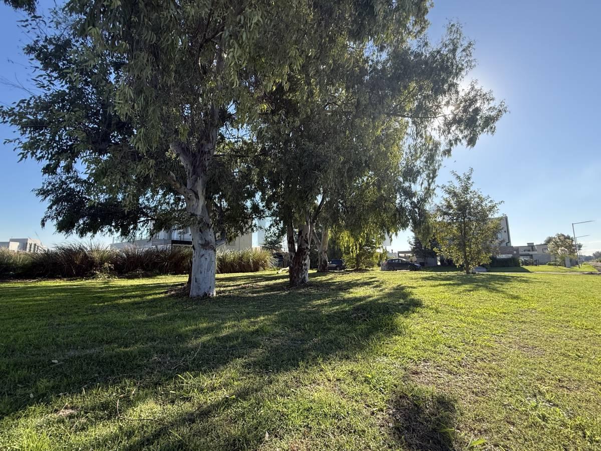 VENTA LOTE EN HORIZONTES AL SUR — foto 1