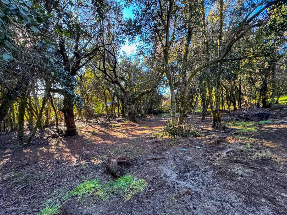 Venta lote en Villa La Angostura — foto 1