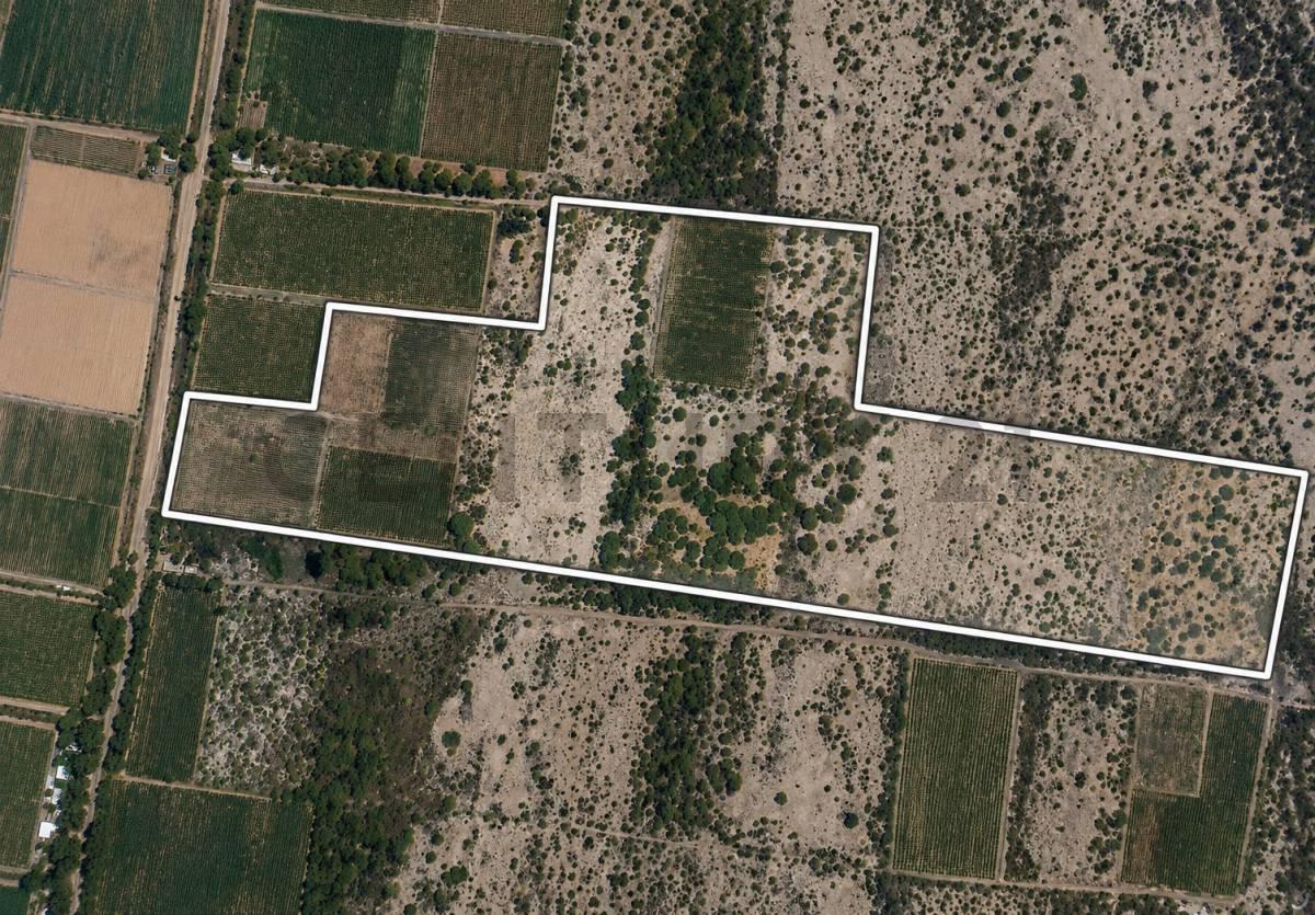 28 HA AGRÍCOLAS - ANGACO — foto 1