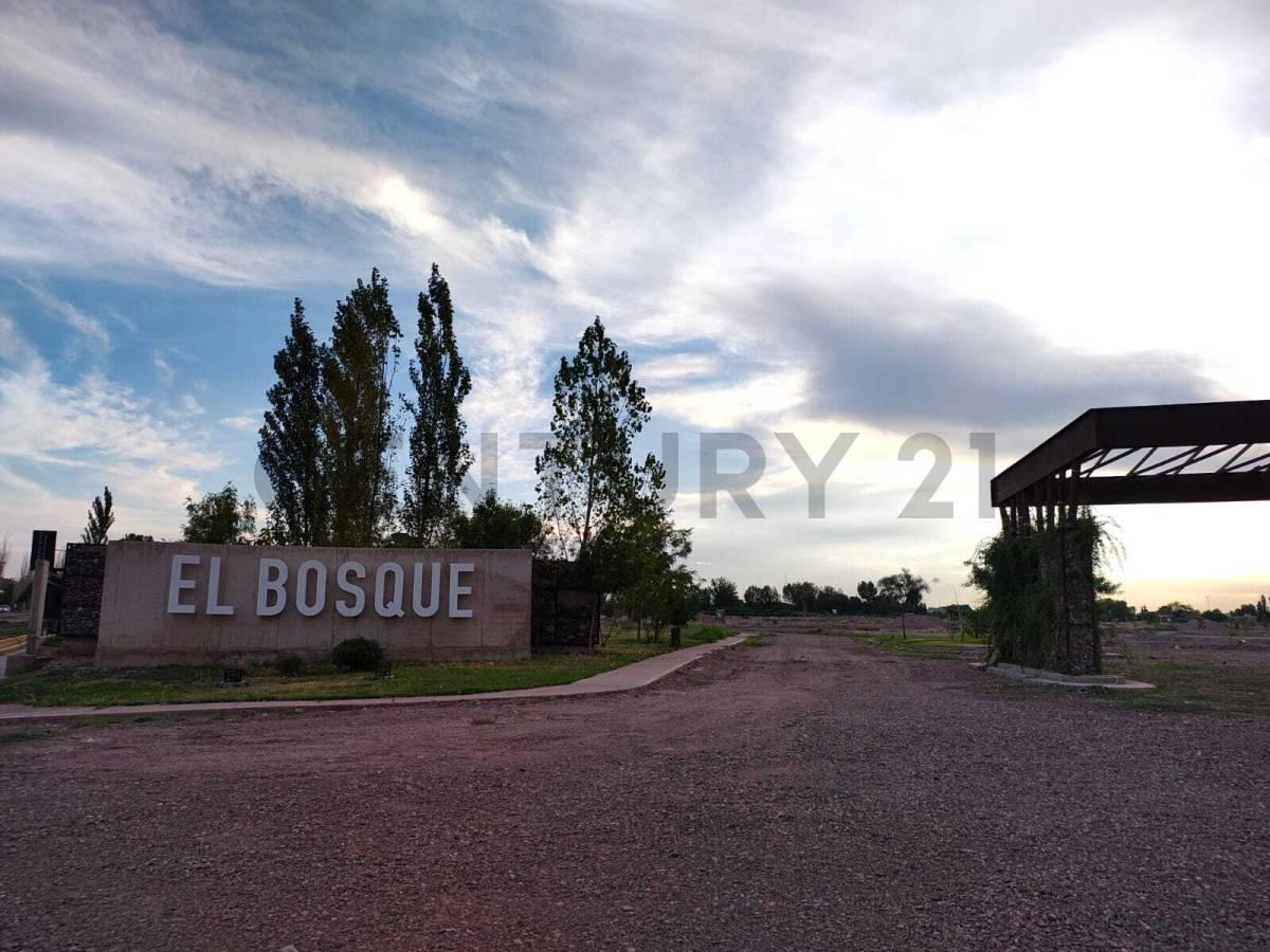 Lote en Venta B° El Bosque II-Rodeo del Medio-ID:253279 — foto 1