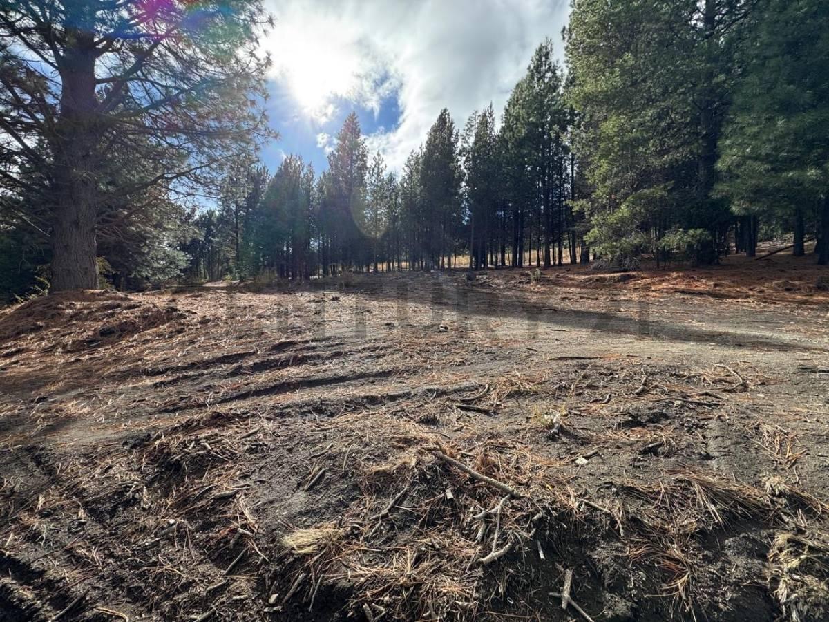 VENTA TERRENO SAN MARTIN DE LOS ANDES . CHAPELCO GOLF . — foto 1