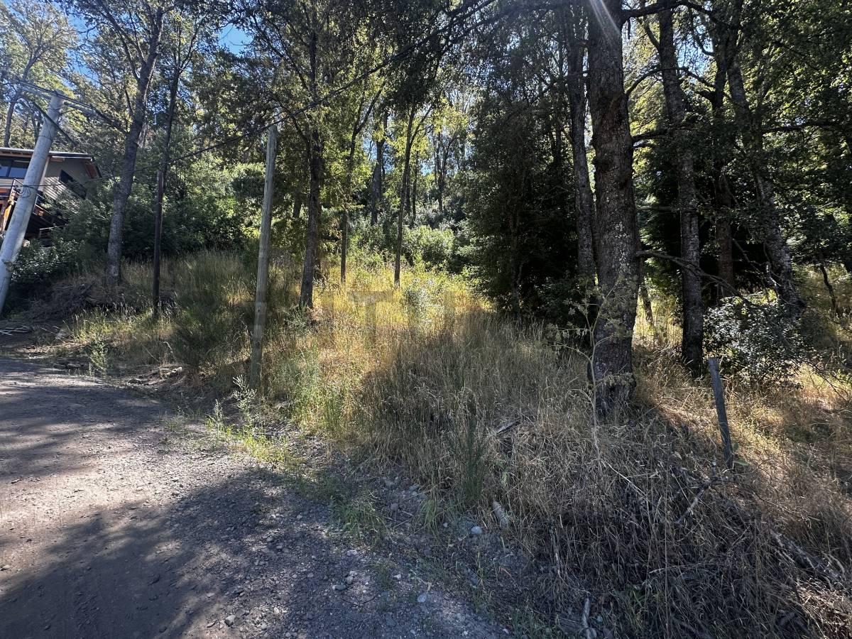 VENTA TERRENO SAN MARTIN DE LOS ANDES. BARRIO ALIHUEN BAJO — foto 1