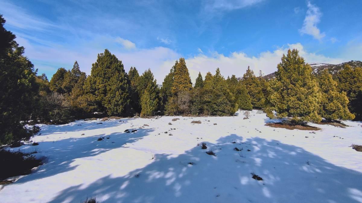 VENTA TERRENO PENINSULA MELIQUINA - SAN MARTIN DE LOS ANDES — foto 1
