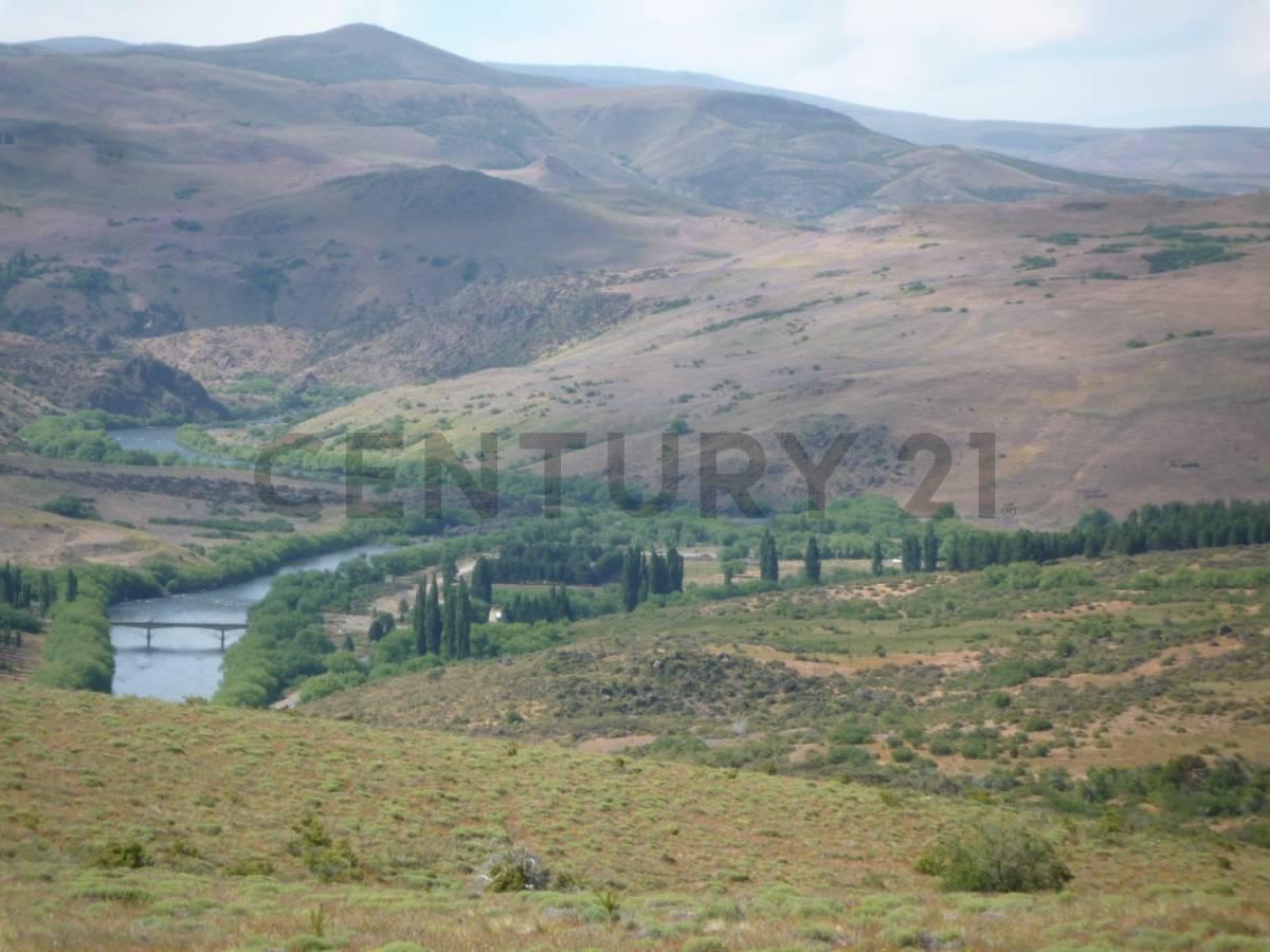 VENTA CAMPO 4 HECTAREAS C/2 RIOS en ALUMIÉ-SAN MARTIN DE LOS ANDES — foto 1