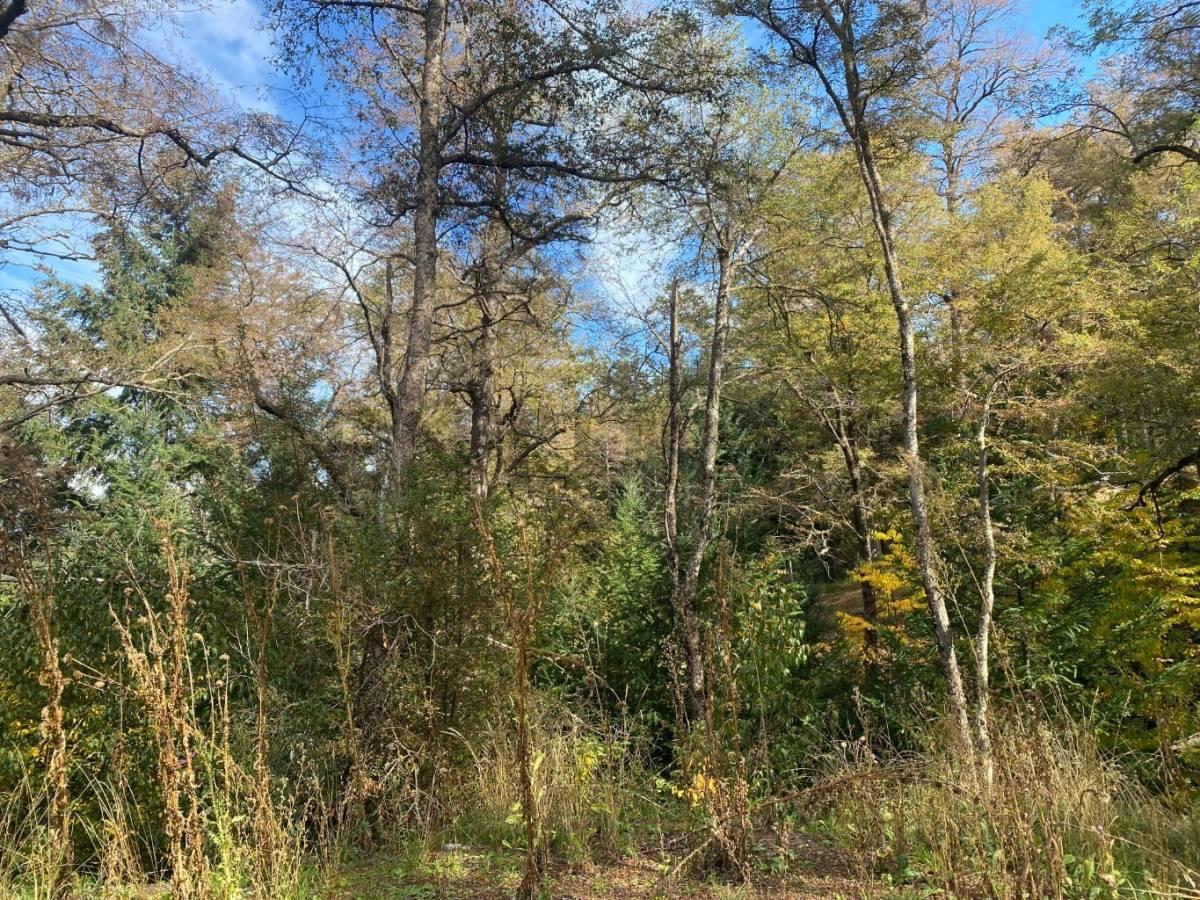VENTA TERRENO SAN MARTIN DE LOS ANDES. BARRIO LAS VERTIENTES — foto 1