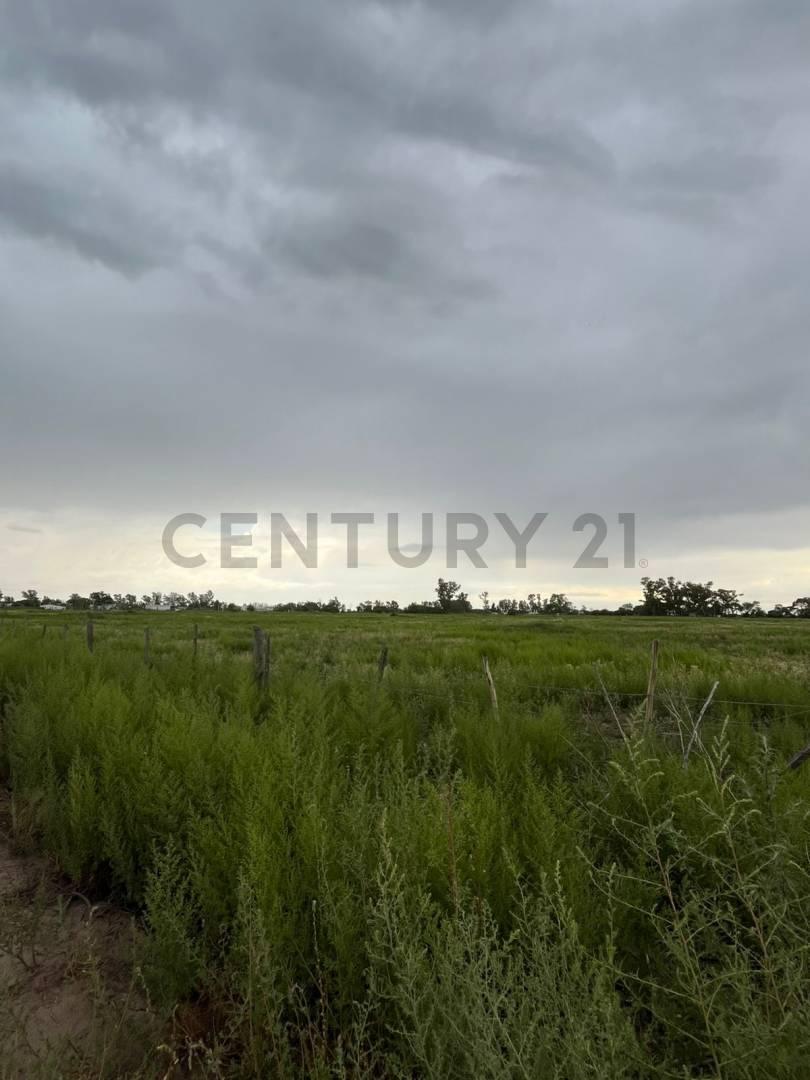 6 Has en VENTA Autopista Córdoba-Rosario - Villa María — foto 1