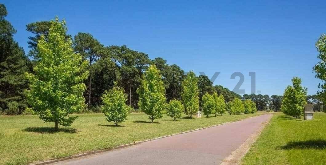 LOTE ARBOLADO Y ESCRITURADO EN PINARES — foto 1