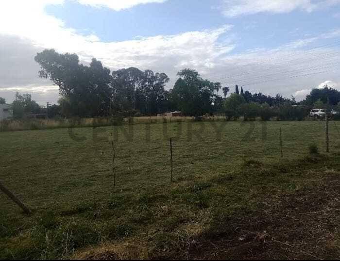 Lote en Magdalena — foto 1
