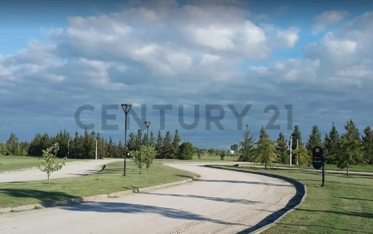 LOTE EN VENTA EN CAMPOS DE ROCA — foto 1